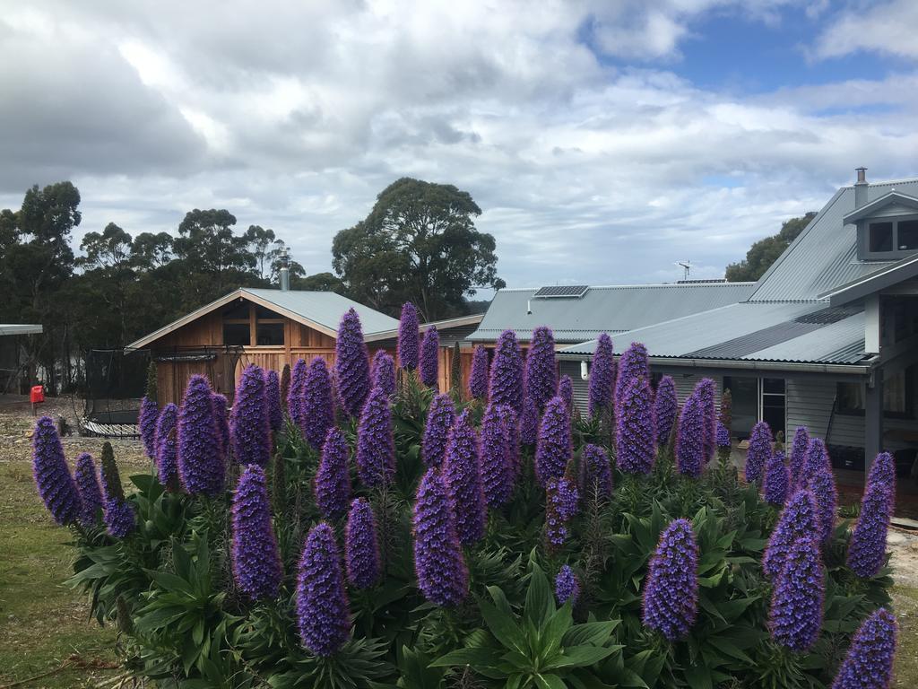 Bruny Island Lodge South Bruny Extérieur photo